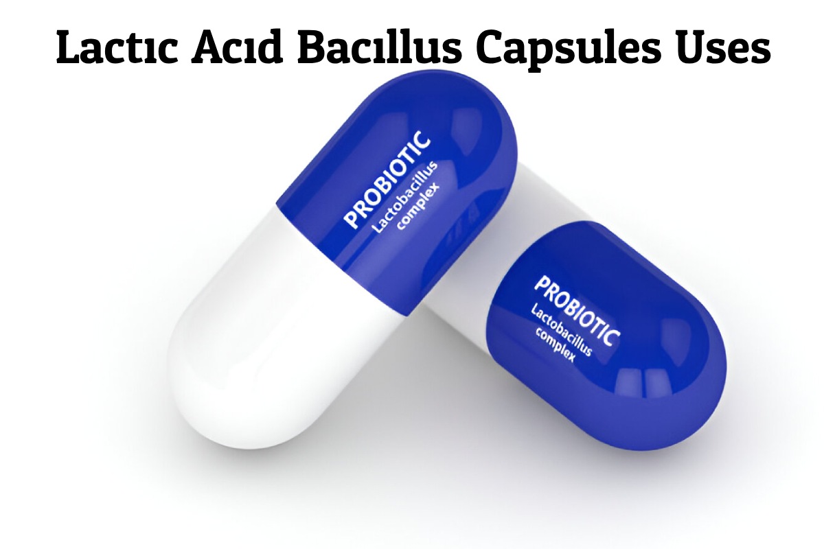 Lactic Acid Bacillus Capsules Uses and its Side Effects